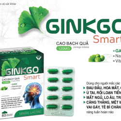 Ginkgo Smart