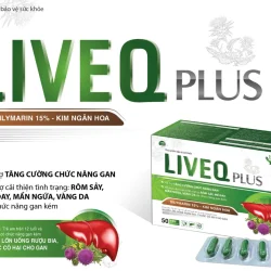 LIVEQ PLUS